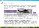 고정익 항공기와 회전익 항공기의 비교 (Comparison between Fixed-wing aircraft And rotary-wing aircraft).pptx 55페이지
