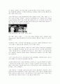 [아일랜드의 역사와 문화] 아일랜드 출신의 인물 - 그레이스 켈리[Grace Patricia Kelly] 2페이지