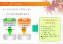 [사회문제] 국민연금법에 관해.ppt 9페이지