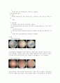 [일반생물학] 세포관찰 2페이지