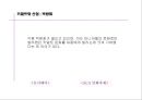 키덜트 문화  12페이지