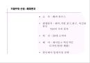 키덜트 문화  15페이지