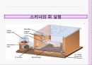 학습이론 19페이지