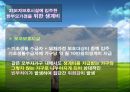 한 부모 가족.PPT자료 34페이지
