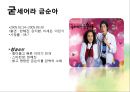 mbc 드라마 분석 PPT 30페이지