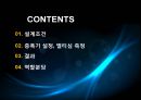 멀티심을 이용한 증폭기 설계 PPT자료 2페이지