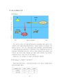 애견 시장 공략전략  13페이지