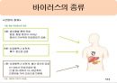 간염바이러스종류 간염바이러스조사 간염바이러스 진단과 종류 간염바이러스의 전염경로 바이러스의 증상과예방 코로나바이러스 4페이지