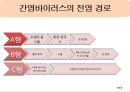 간염바이러스종류 간염바이러스조사 간염바이러스 진단과 종류 간염바이러스의 전염경로 바이러스의 증상과예방 코로나바이러스 8페이지