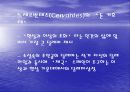 무적함대와 유럽의 재편성 22페이지