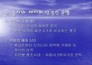 무적함대와 유럽의 재편성 31페이지