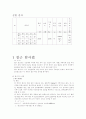캡스톤 디자인 30페이지