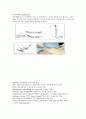  varicose vein 하지정맥류 질병 고찰 (정맥류 정의, 정맥류 증상, 정맥류 원인, 정맥류 치료, 정맥류 분류, 정맥류 진단)  6페이지
