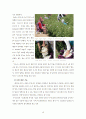 [국제 경영 분석] 아모레 퍼시픽(AMORE PACIFIC)의 프랑스(FRANCE) 진출 성공사례 원인과 아모레 퍼시픽의 성공 전략 분석 13페이지