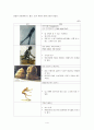 [감상문] Walking with cavemen by BBC를 보고 - 인간은 계속 진화한다 4페이지