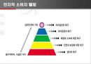소비자 웰빙 마케팅.ppt 8페이지