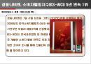 소비자 웰빙 마케팅.ppt 22페이지