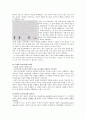 피아제의 인지발달이론 7페이지