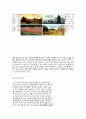 JUNO(주노) 9페이지