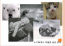 우울해지기 쉬운 성격과 그 예방법.ppt 3페이지