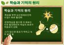 학습에서 기억 전략  3페이지