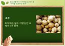 학습에서 기억 전략  12페이지