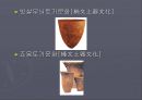 한일 교류 역사 일본내의 한국문화  5페이지