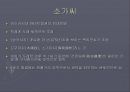 한일 교류 역사 일본내의 한국문화  15페이지