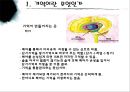  우리들에게 기억의 역할.pptx 4페이지