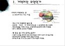  우리들에게 기억의 역할.pptx 5페이지