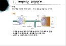  우리들에게 기억의 역할.pptx 6페이지