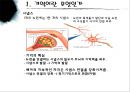  우리들에게 기억의 역할.pptx 7페이지