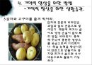  우리들에게 기억의 역할.pptx 31페이지