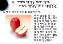  우리들에게 기억의 역할.pptx 38페이지