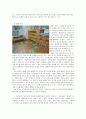 [보육학개론] 유아를 위한 보육환경 - 실내놀이 환경구성과 실외놀이 환경구성 (실내놀이 환경 구성의 원리와 실내놀이 영역, 실외놀이 환경구성의 원리와 실외놀이 영역)  8페이지