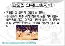 스모(相撲) 11페이지