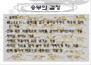 스모(相撲) 13페이지