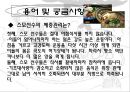 스모(相撲) 24페이지