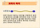 심리학의 연구방법 12페이지