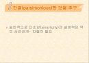 심리학의 연구방법 17페이지