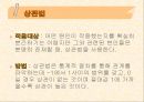 심리학의 연구방법 45페이지