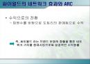 커뮤니티사이트의 성공과 실패 사례 - freechal과 cyworld - 18페이지