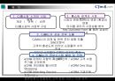 인터넷 마케팅 사례조사 (CJMALL.COM) [CJ홈쇼핑 피피티] 2페이지