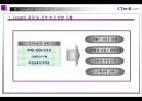 인터넷 마케팅 사례조사 (CJMALL.COM) [CJ홈쇼핑 피피티] 12페이지