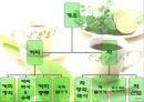  차와 커피 2페이지