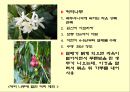  차와 커피 4페이지