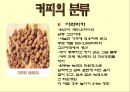  차와 커피 9페이지