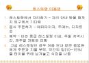 북미의 식문화  - 미국, 캐나다 - 31페이지