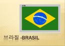 남미의 음식문화  -브라질, 페루, 아르헨티나를 중심으로 4페이지