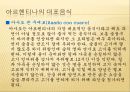남미의 음식문화  -브라질, 페루, 아르헨티나를 중심으로 32페이지